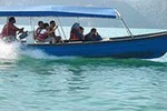 langkawi islang mangrove tour taxi teksi